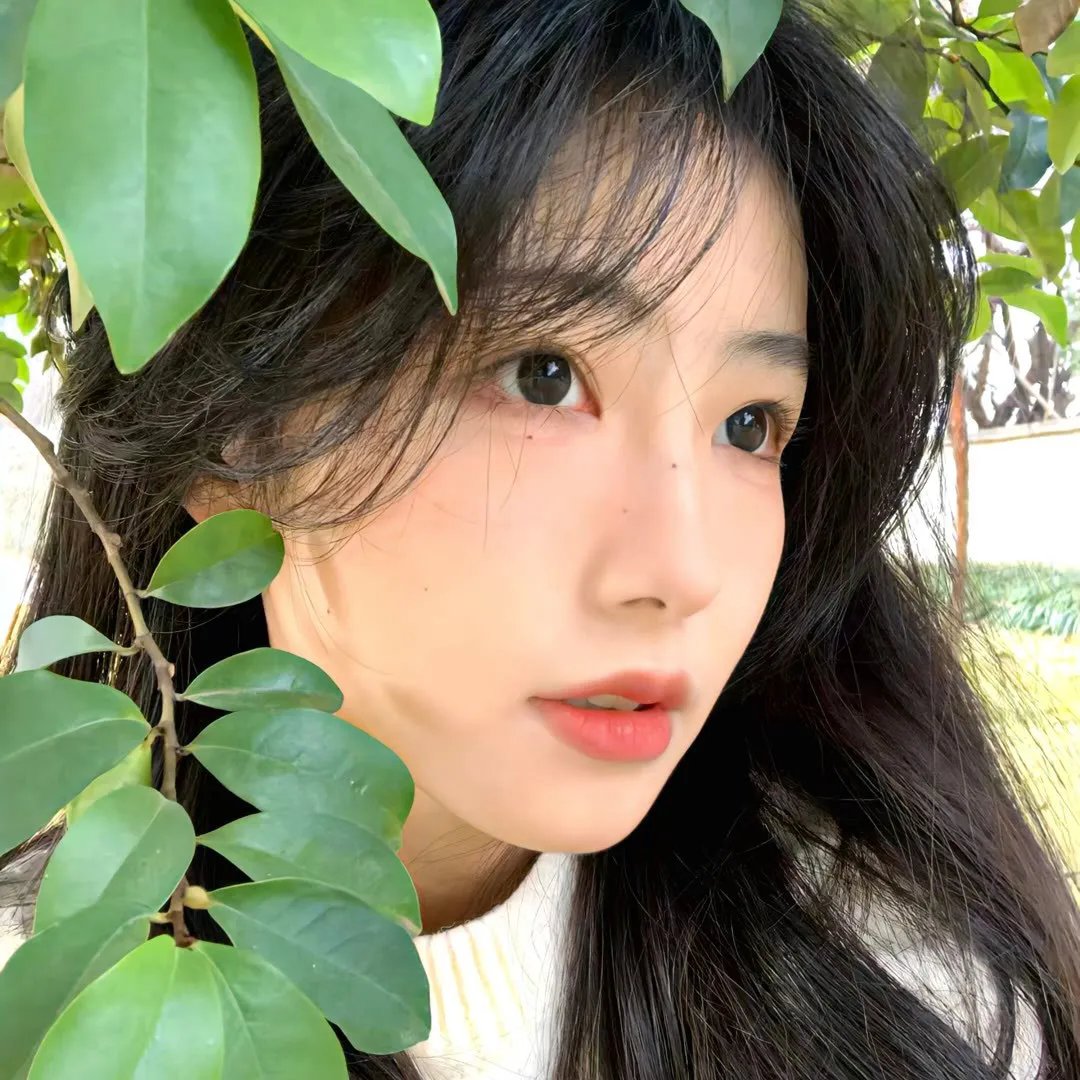 疯狂迷妹