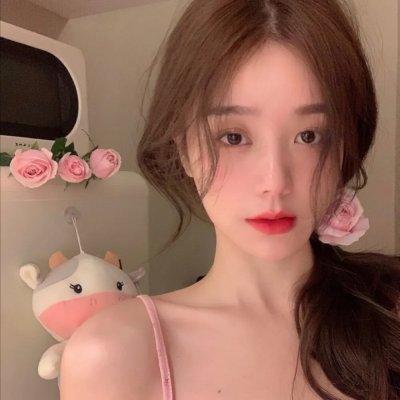 夏绿蒂的网